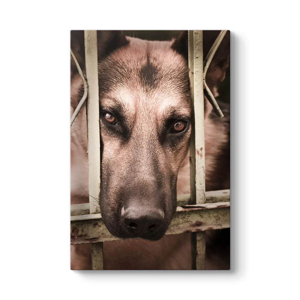 Kurt Köpeği Tablosu - Model 2